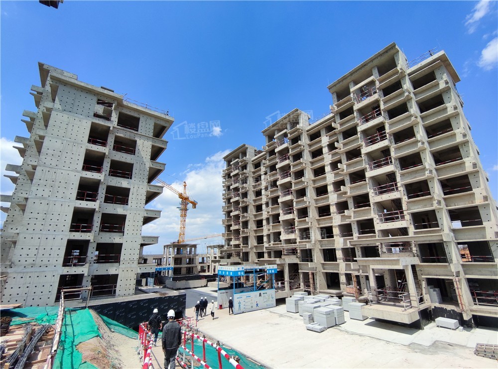 大理琴城主场力克对手，喜迎胜利！